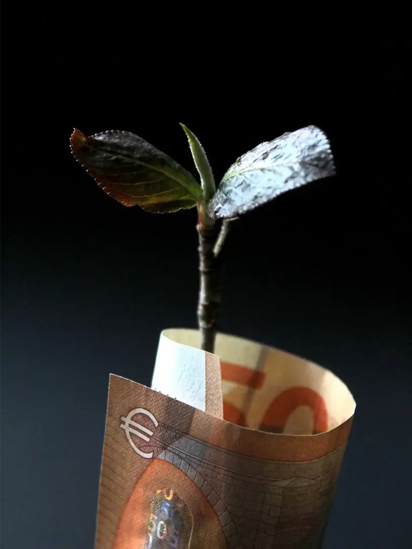 En euroseddel, der spirer en plante, symboliserer den potentielle vækst, man kan opnå ved at låne mod deres friværdi.